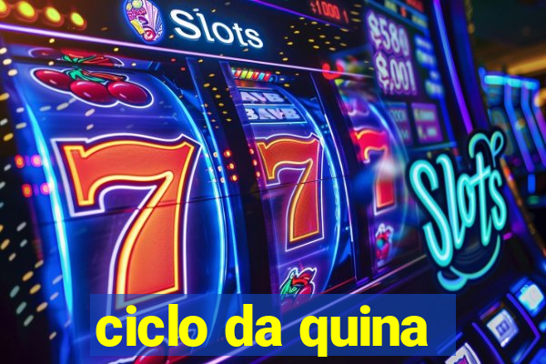 ciclo da quina